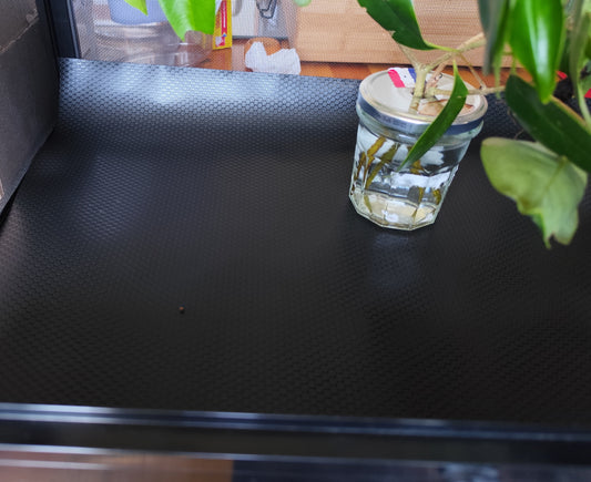 Tapis de sol pour terrarium