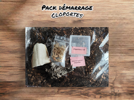 Pack démarrage cloportes